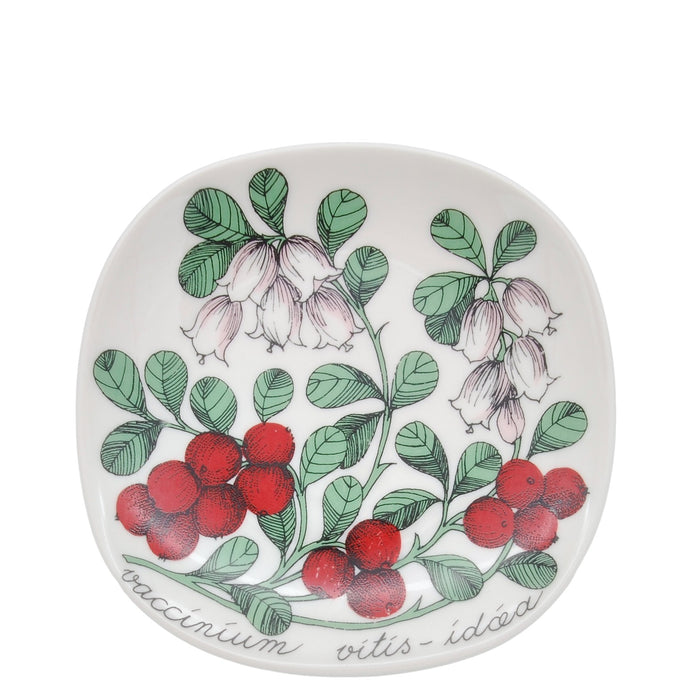 Arabia Botanica Vaccinium Vitis-Idaea Plate, vintage Decorative plates Arabia   